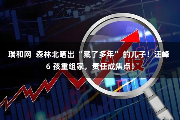 瑞和网  森林北晒出 “藏了多年” 的儿子！汪峰 6 孩重组家，责任成焦点！