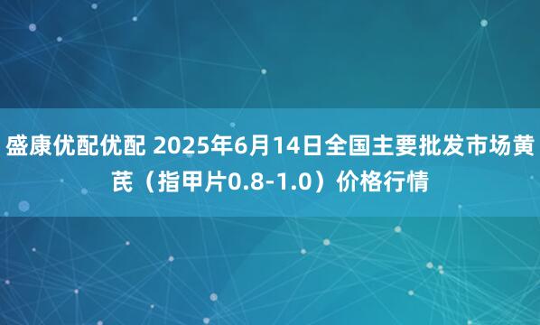 盛康优配优配 2025年6月14日全国主要批发市场黄芪（指甲片0.8-1.0）价格行情
